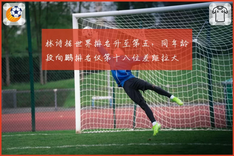 林诗栋世界排名升至第五，同年龄段向鹏排名仅第十八位差距拉大