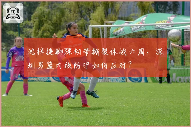 沈梓捷脚踝韧带撕裂休战六周，深圳男篮内线防守如何应对？